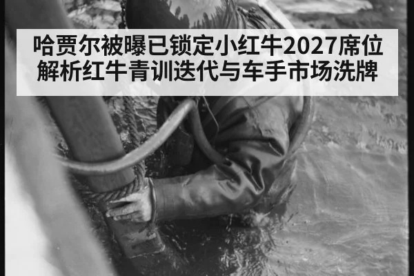 哈贾尔被曝已锁定小红牛2027席位 解析红牛青训迭代与车手市场洗牌